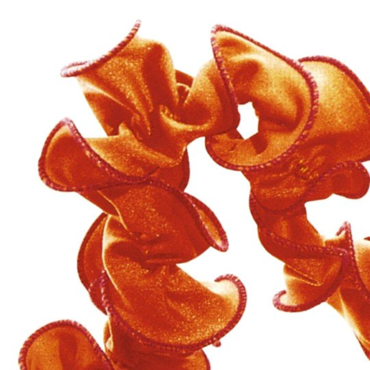 Bernina Piedino per Cordoncini – Tagliacuci Bernina 700D / 800D