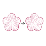 Brother aggiornamento software Upgrade dal PE-10 al PE-11