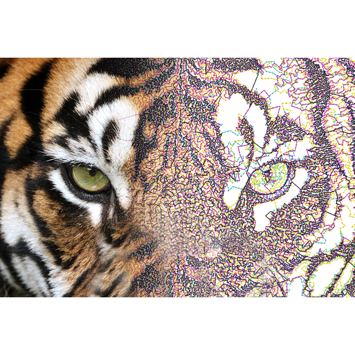 Brother Software da Ricamo BE1 Embroidery Wilcom