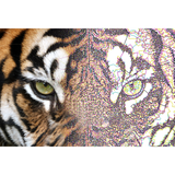 Brother Software da Ricamo BE1 Embroidery Wilcom