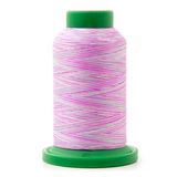 Isacord Multicolore 9912