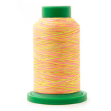Isacord Multicolore 9914