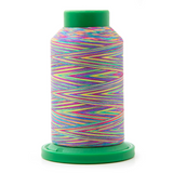 Isacord Multicolore 9916
