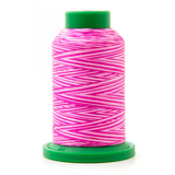 Isacord Multicolore 9923