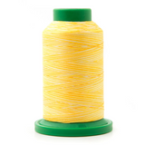 Isacord Multicolore 9925