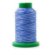 Isacord Multicolore 9929