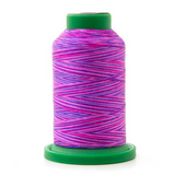 Isacord Multicolore 9973