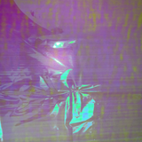 BrillaRicamo per Ricami Luminosi