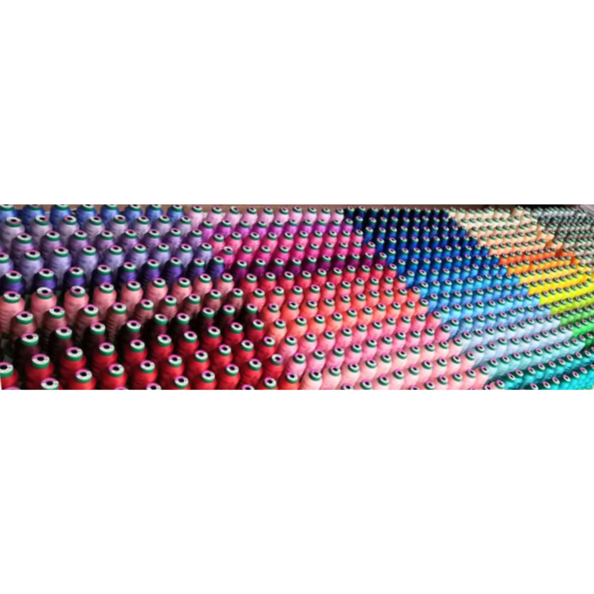 Kit Completo - 391 Spole - Tutta la cartella colori